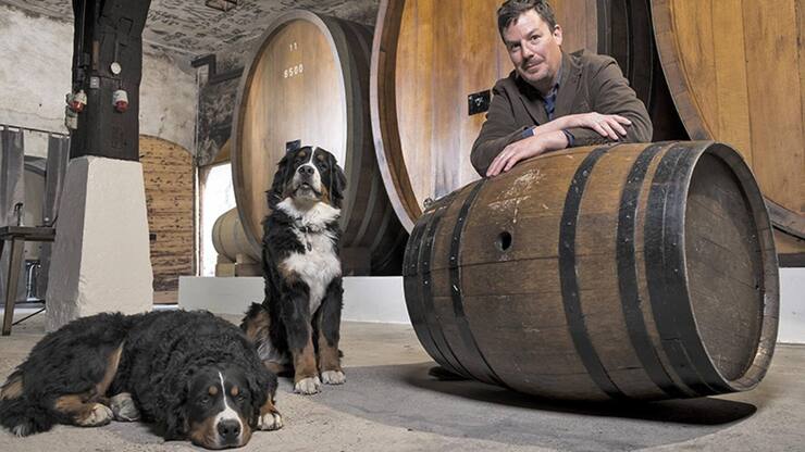 file7g0u1y8yr8ziu82d23v