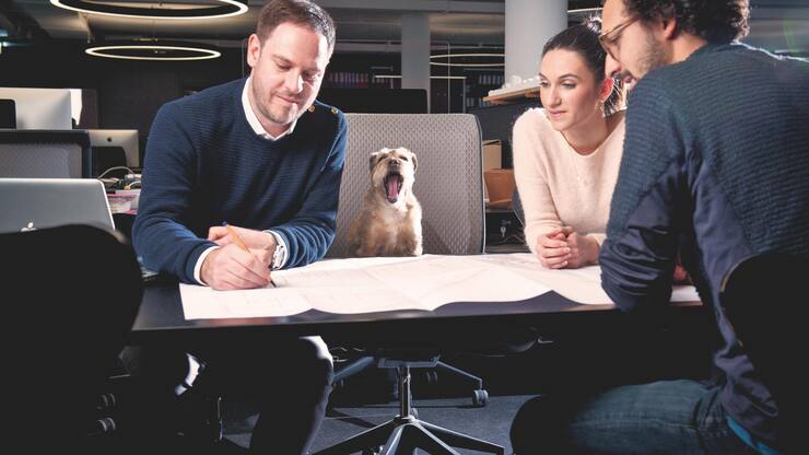 Animaux_bureau_3MB3_