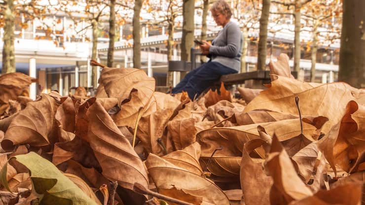 file83bc5viljevdbq90s5q