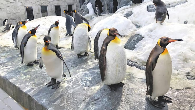 file7mxfedm87kpg6i6iln9