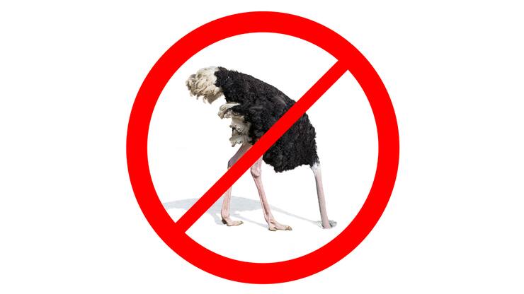 Dédicace au “No Answer Club”