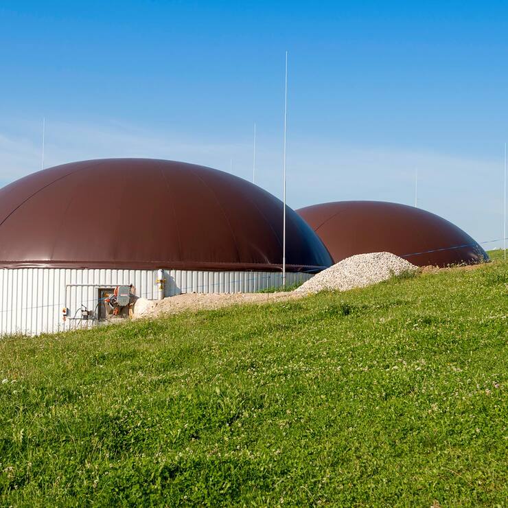 Biomasse : découvrez la centrale Agrogaz
