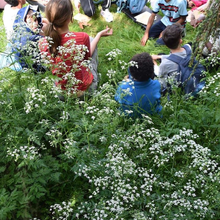 Renouer avec le monde vivant pour mieux le préserver
