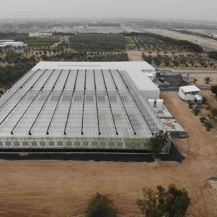 Clean Greens Solutions dépose le bilan