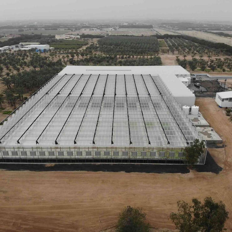 Clean Greens Solutions dépose le bilan