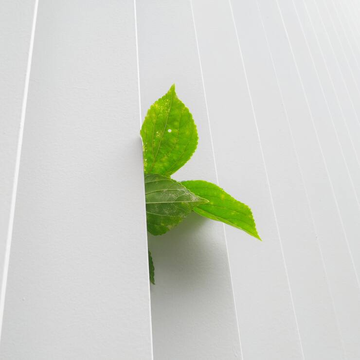 Développement durable: un enjeu vital pour les marques comme pour la planète