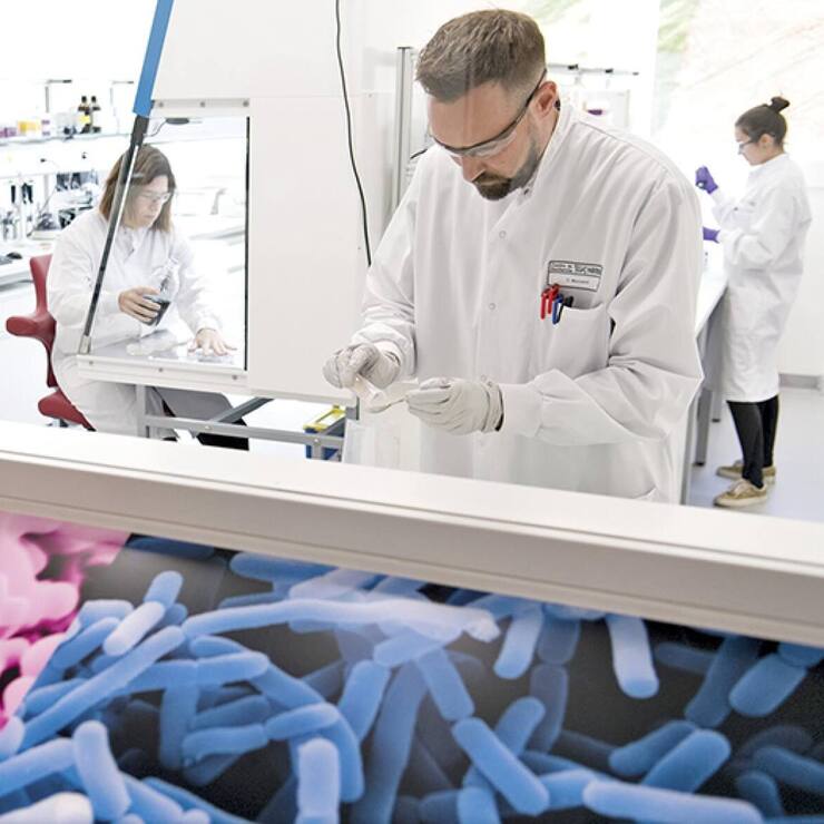 file79tuksh72cnz4mz5b1f