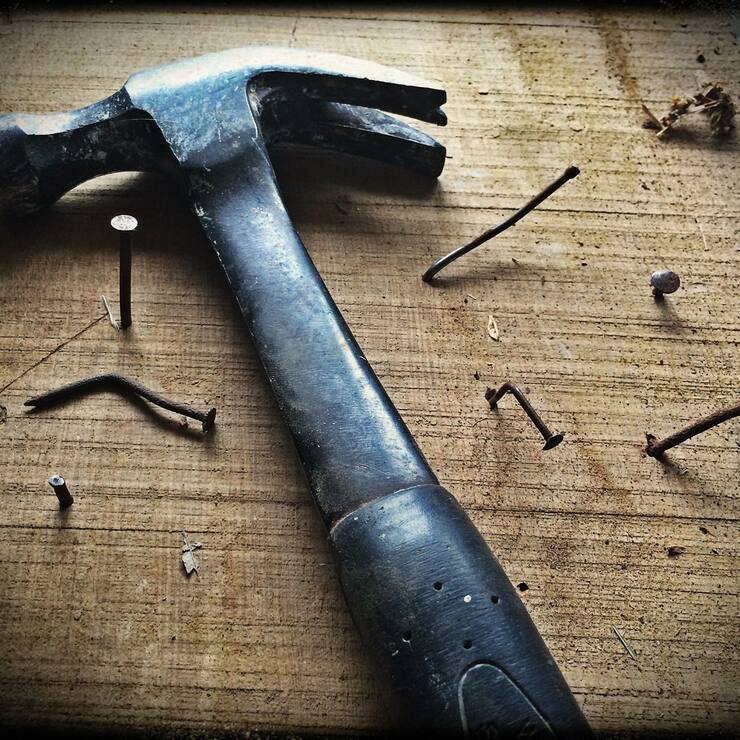 pexels-pixabay-209235-scaled