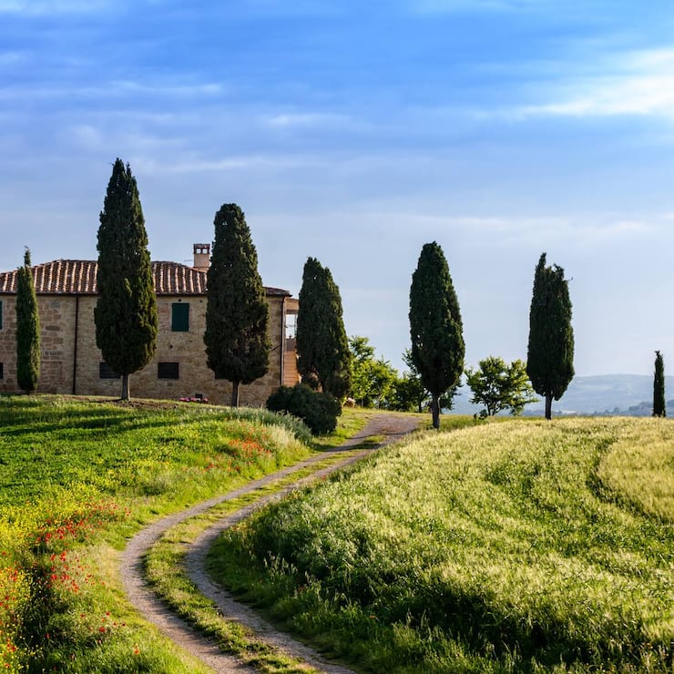 file6y7shpatf7n172wqqjh5