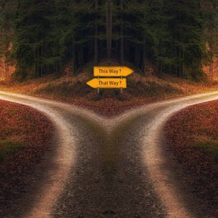 Business Judgement Rule et droit suisse