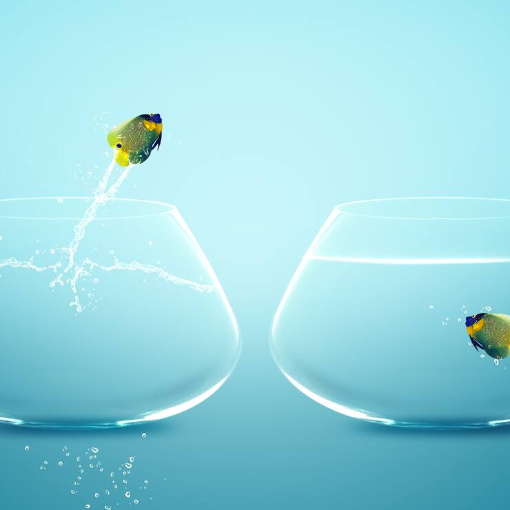 article_1_competences_transferables