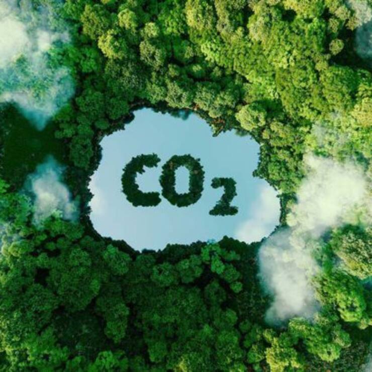 Concept depicting the issue of carbon dioxide emissions and its impact on nature in the form of a pond in the shape of a co2 symbol located in a lush forest. 3d rendering.