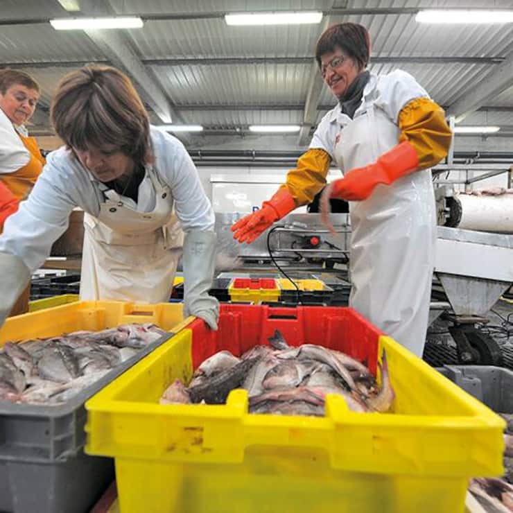 file77o8i3jtklhmotsm6lx