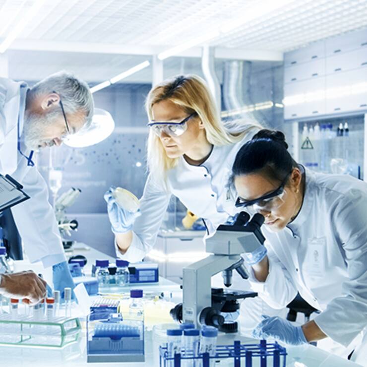 file71ku9t66ey98vs1pl6m