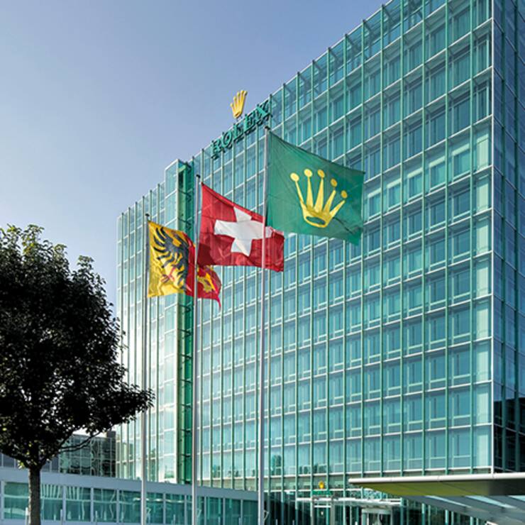 file78z0misv40p1me9cz8w7