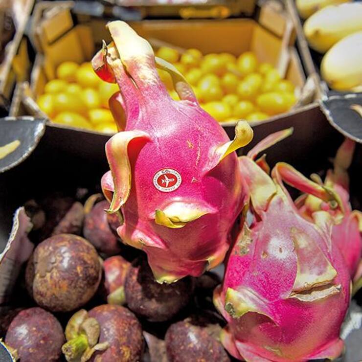 file77o8kas151k8t3f0mkn