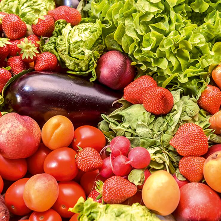 file71z9vl4foux1b917c95z