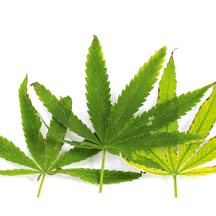 file711vlxwh15312tgz71f1