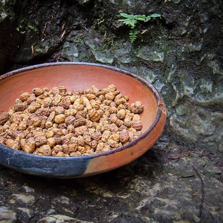 file74y4hnxxkn99f9eyjsr