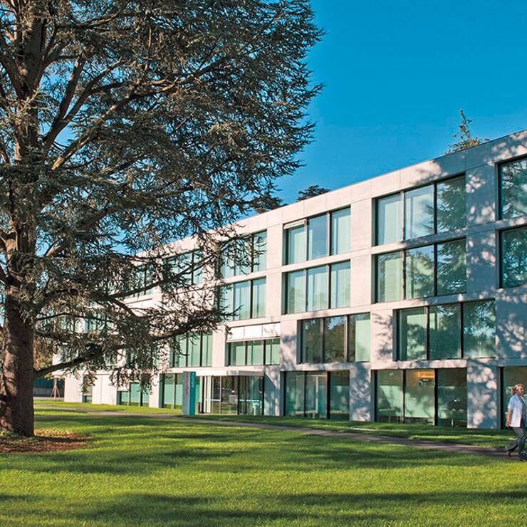 file71z9hcyziuxbzi1fl6k