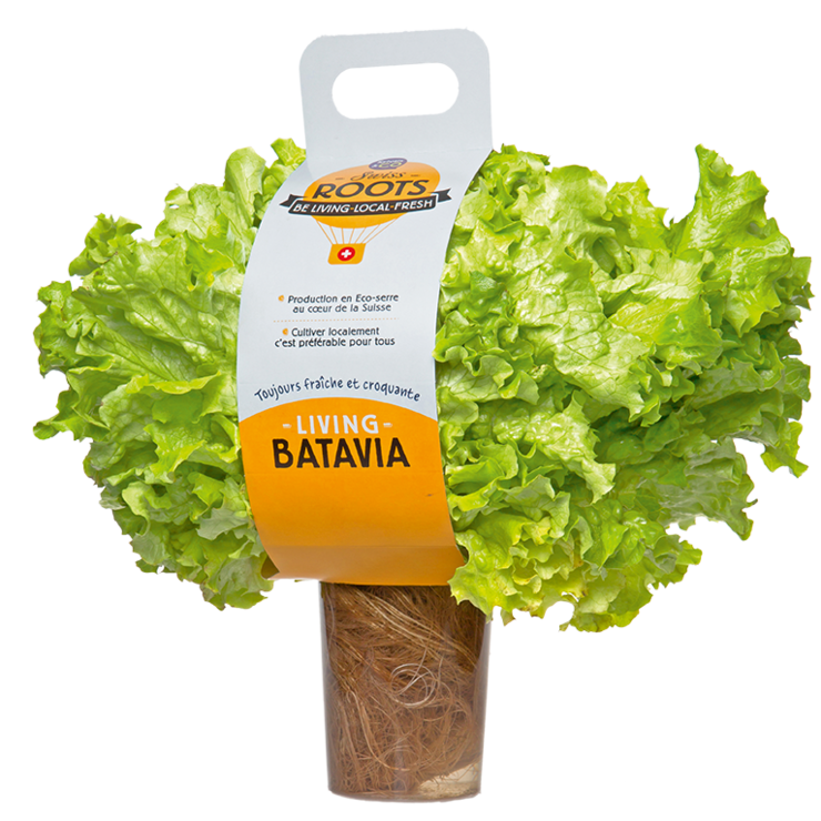 file709n2fpa6yeg09zje03