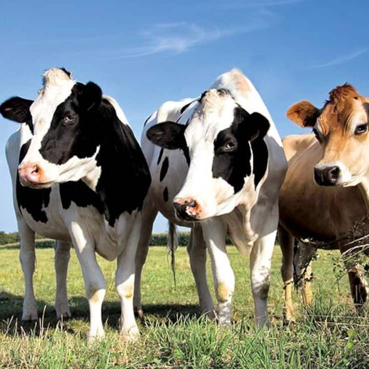 file71kuq6f43ucifkcjl6v