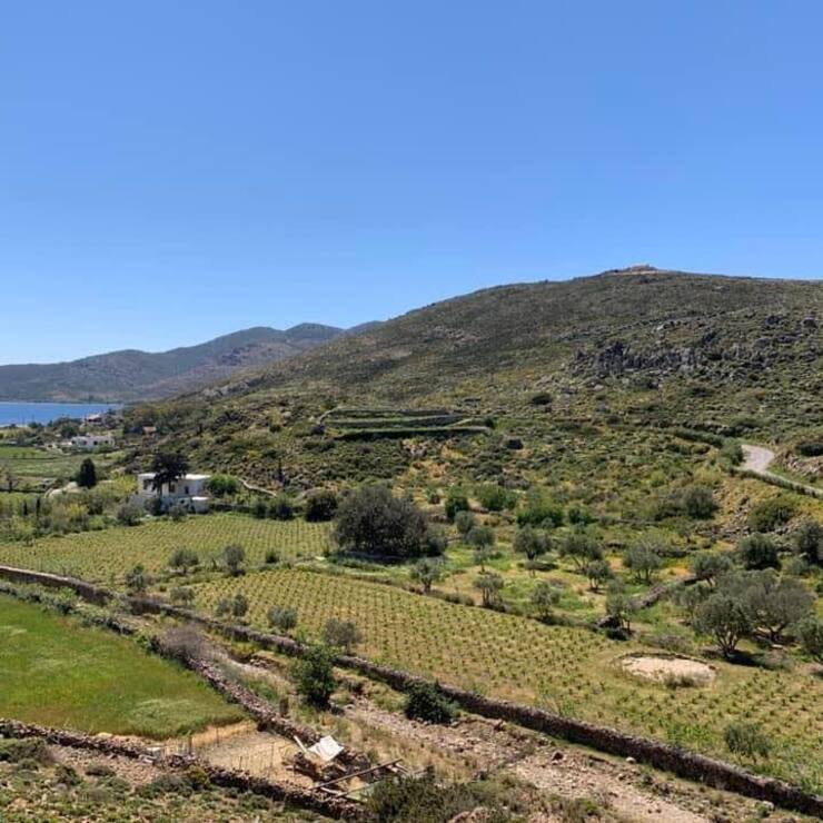 ETAPES CONCRETES : DE LA  START-UP A LA PME DURABLE