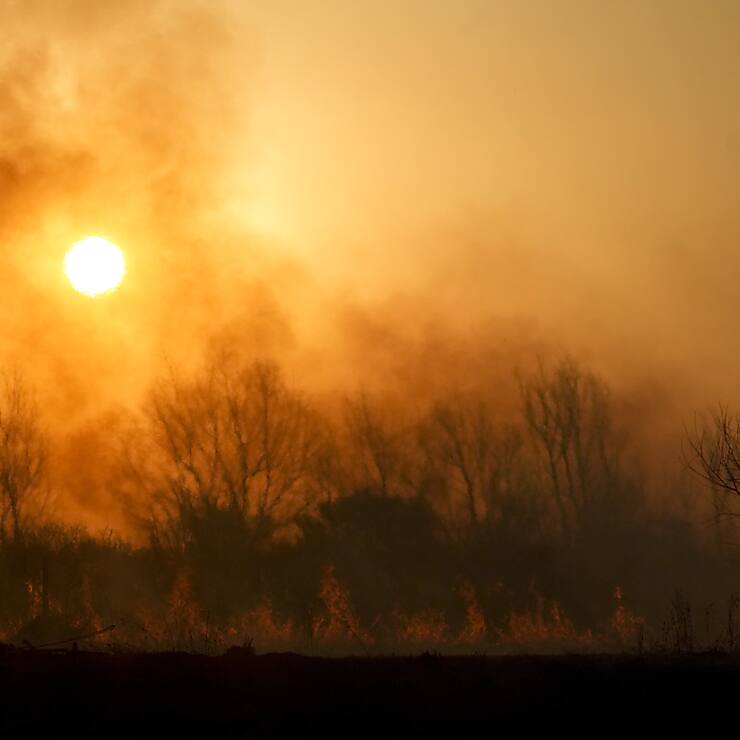 Les feux de forêt de plus en plus fréquents pourraient à terme faire perdre aux forêts boréales leur statut de puits de carbone (image d'illustration).