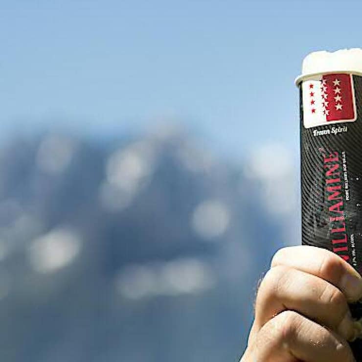 La société valaisanne Iscream a lancé six sortes de glaces avant de mettre la clé sous le paillasson.