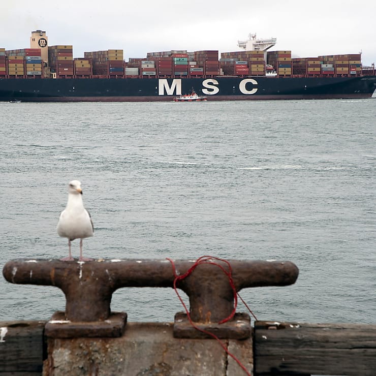 Mediterranean Shipping Company (MSC) a annoncé qu'elle avait volontairement modifié ses itinéraires autour du Sri Lanka pour réduire le risque d'accidents impliquant des baleines, des dauphins et des marsouins. (archives)