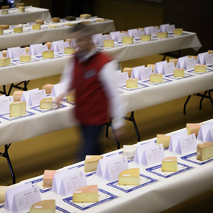 Présentés sur de longues tables installées à l'Espace Saint-Marc au Châble, 1064 fromages sont prêts à être dégustés.