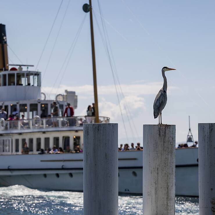 Le montant pour le transport public régional doit notamment servir à augmenter le nombre de liaisons par bateau entre Lausanne et Thonon (F). )(archives)