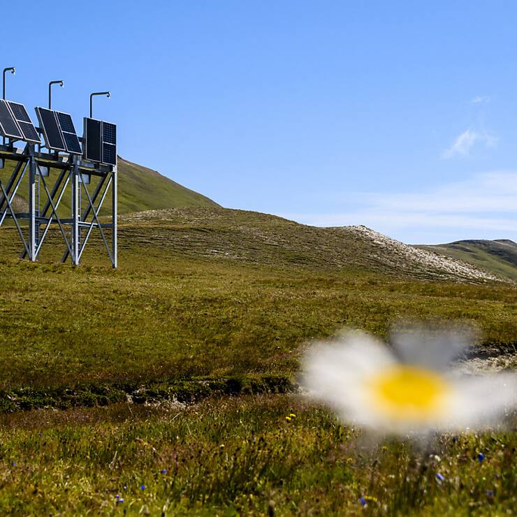 Le parc solaire alpin Grengiols Solar est prévu entre 2000 et 2500 mètres d'altitude dans le parc naturel de la vallée de Binn. Ici, une installation-test en juillet 2023. (Archives).