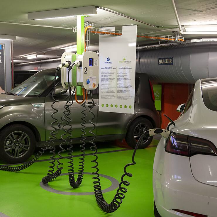 La taxe sur l'importation des véhicules électriques introduite en début d'année a eu pour effet un recul de la demande. (archive)