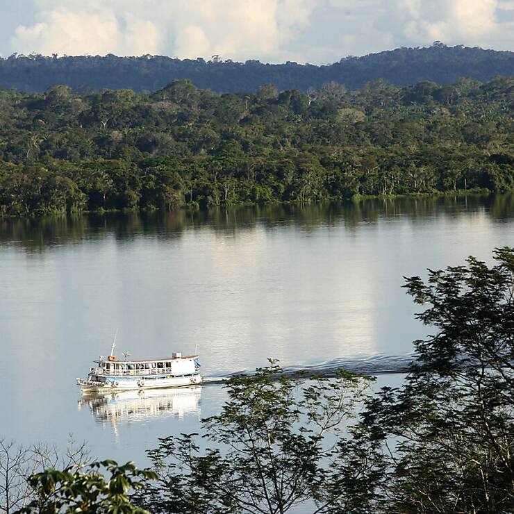 "Dépasser la limite de 1,5°C de manière permanente augmenterait substantiellement la probabilité de déclencher des points de bascule", selon l'étude, avec par exemple la disparition de la forêt primaire de l'Amazonie ou la fonte des calottes glaciaires du Groenland et de l'ouest de l'Antarctique.