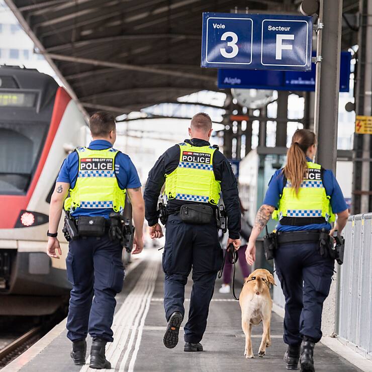 En tout 100 caméras corporelles vont être achetées (archives).