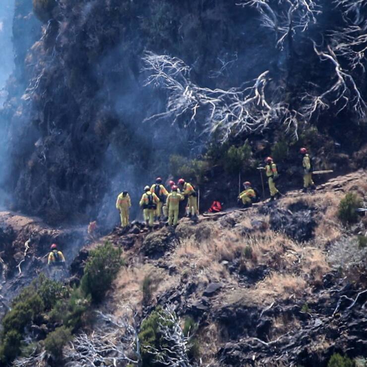 Mercredi soir, les flammes progressaient toujours sur deux fronts dans des zones de très difficile accès de la cordillère centrale de cette île, très prisée des touristes étrangers située au large des côtes marocaines.