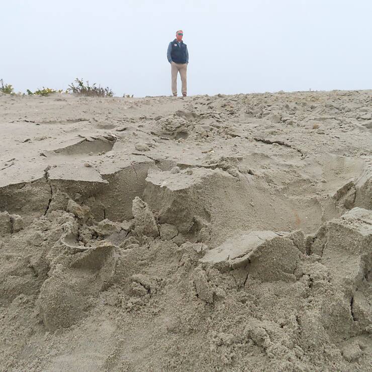 Deux garçons ont été grièvement blessés après avoir été ensevelis par une dune au Danemark. (image symbolique)