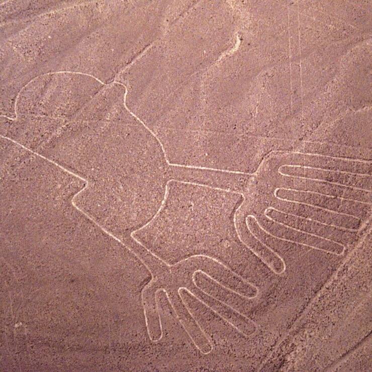 Le site des lignes de Nazca est situé à environ 400 kilomètres au sud de Lima, dans le désert. Les premiers géoglyphes ont été découverts en 1927. Les habitants de la civilisation Nazca ont occupé la région de 200 à 700 après Jésus-Christ.