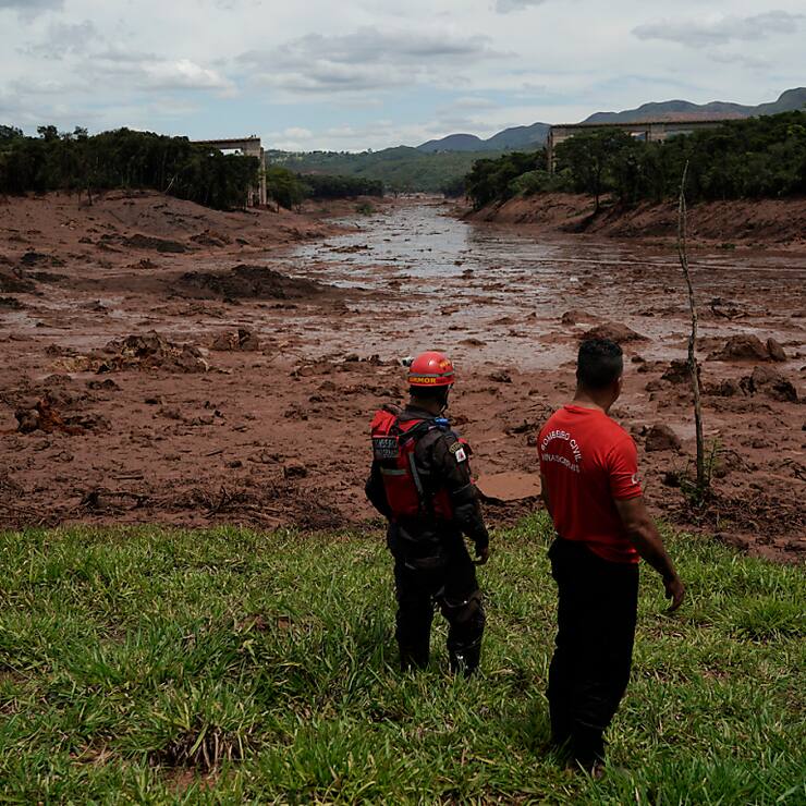 La catastrophe écologique a entraîné la mort de 19 personnes, privé plus de 600 personnes de leur foyer, tué des milliers d'animaux et dévasté des zones de forêt tropicale protégée.