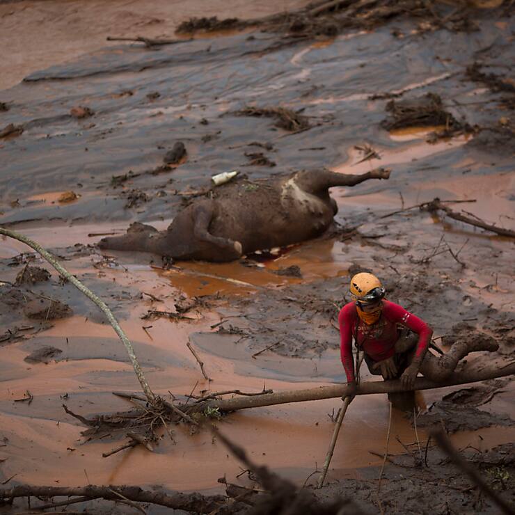 Le 5 novembre 2015, la rupture d'un barrage minier au Brésil avait engendré le déversement de dizaines de millions de mètres cube de boues toxiques dans la nature (archives).