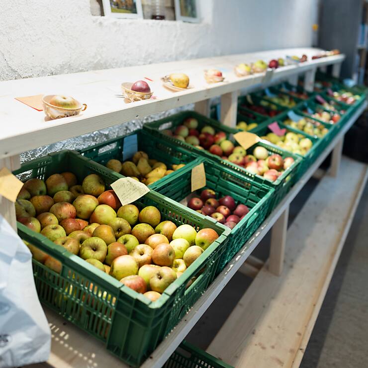 En octobre, des baisses de prix ont été observées pour les fruits et les légumes, notamment (archives).