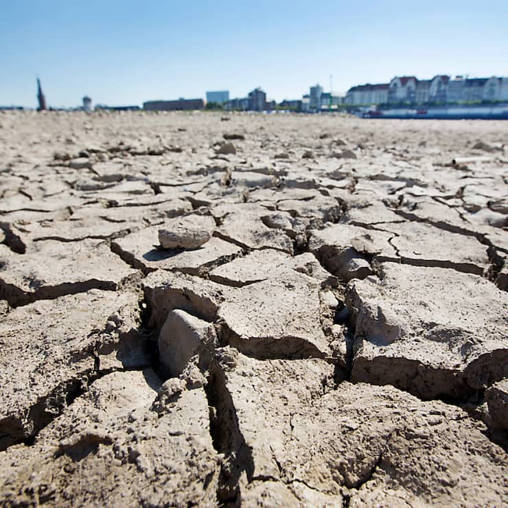 Les sécheresses, alimentées par le réchauffement et une gestion insoutenable des ressources en eau et des sols, devraient toucher 75% de la population mondiale d'ici 2050, indique un rapport de l'ONU.