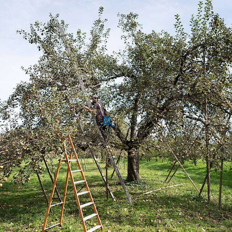 L'agriculture devrait obtenir plus de fonds pour les années 2026 à 2029 (archives).