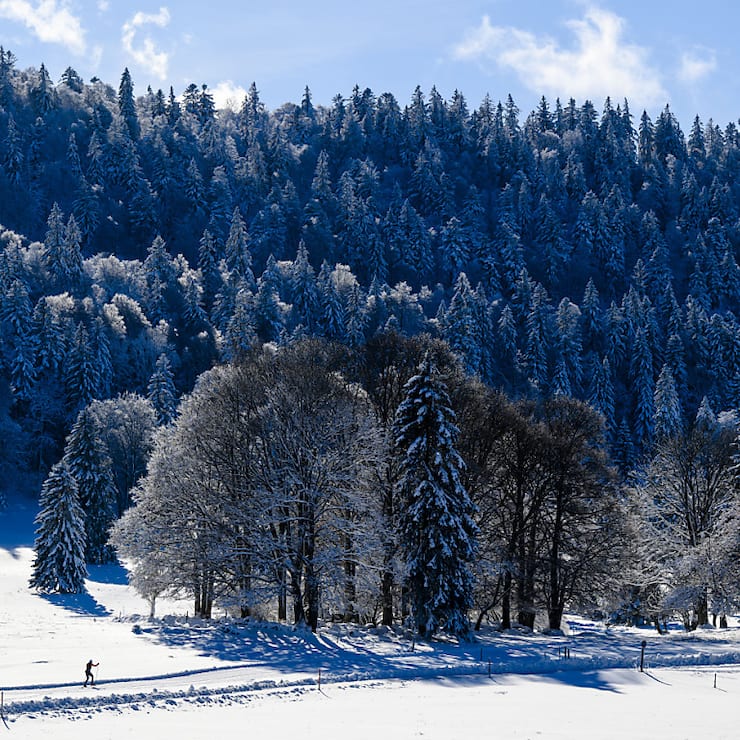 Les conditions devraient être idéales jeudi pour la journée de ski de fond gratuite (archives).