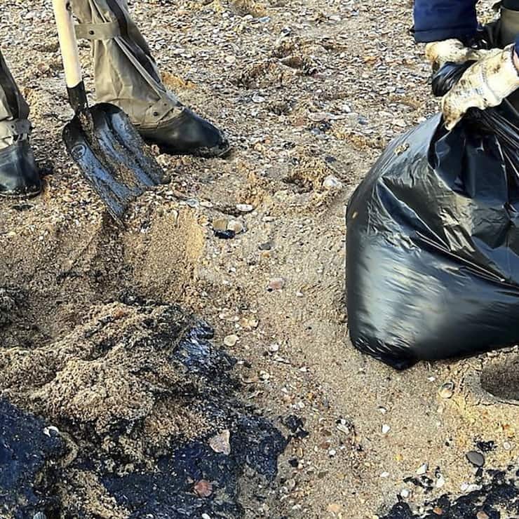 Alors que les plages sont souillées, la marée noire consécutive à l'échouage de deux pétroliers dans la mer Noire à mi-décembre continue de provoquer des effets: une trentaine de cétacés ont ainsi été trouvés morts (Archives).