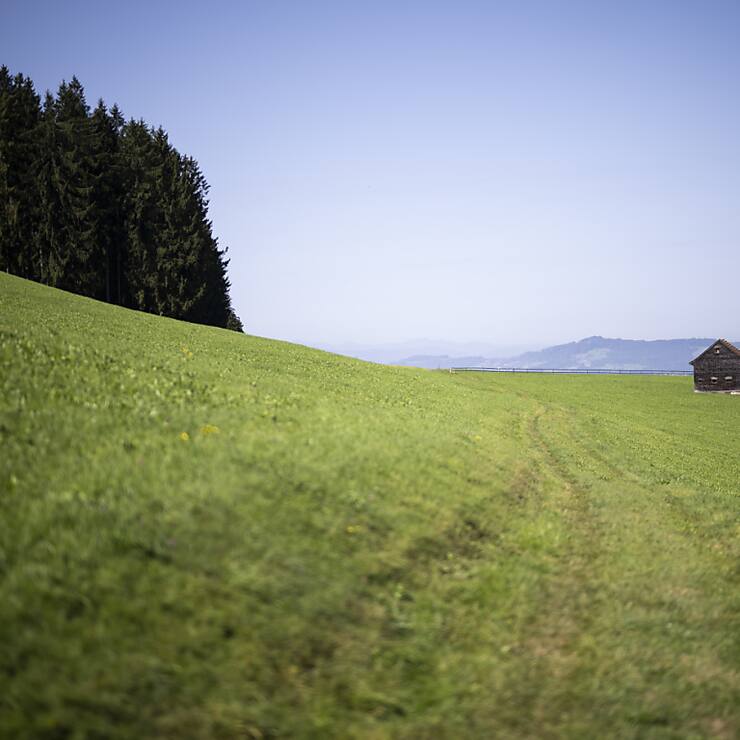 Quasi indestructibles, les PFAS regroupent plus de 4700 molécules et s'accumulent avec le temps dans l'air, le sol, les rivières, jusque dans le corps humain.