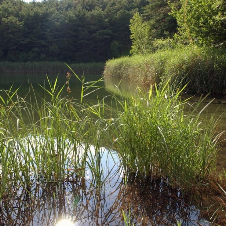 L'état critique des eaux de surface est principalement dû à une large contamination par le mercure et d'autres polluants toxiques. (Image d'illustration)