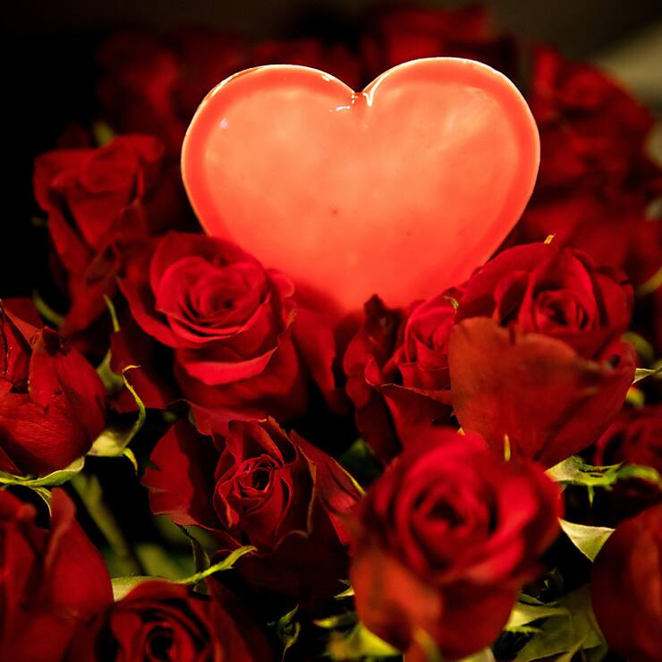 La Saint-Valentin est l'un des événements les plus importants pour les fleuristes suisses. (Image d'illustration)