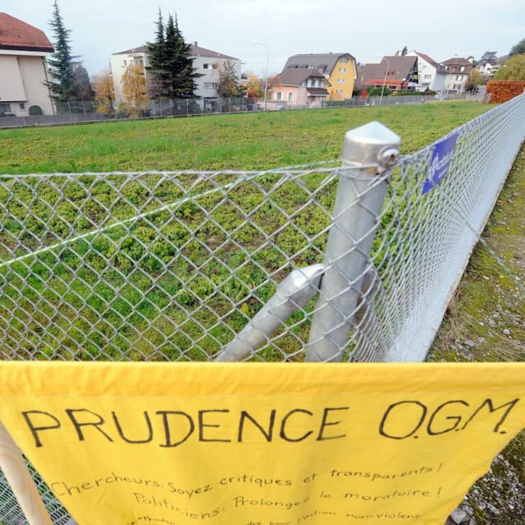Le moratoire sur les OGM devrait être prolongé (archives).